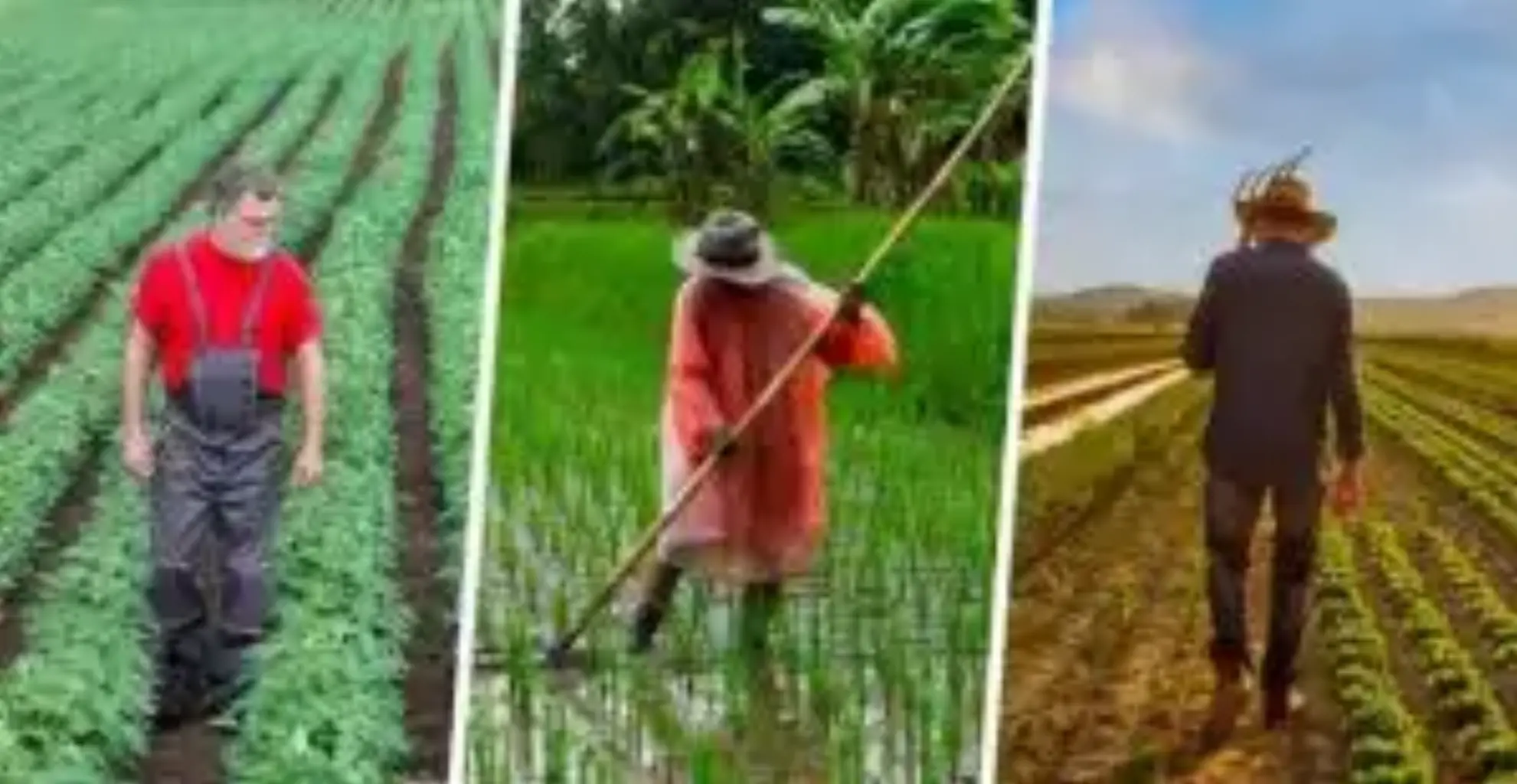 El agua muy necesaria para los Regadío