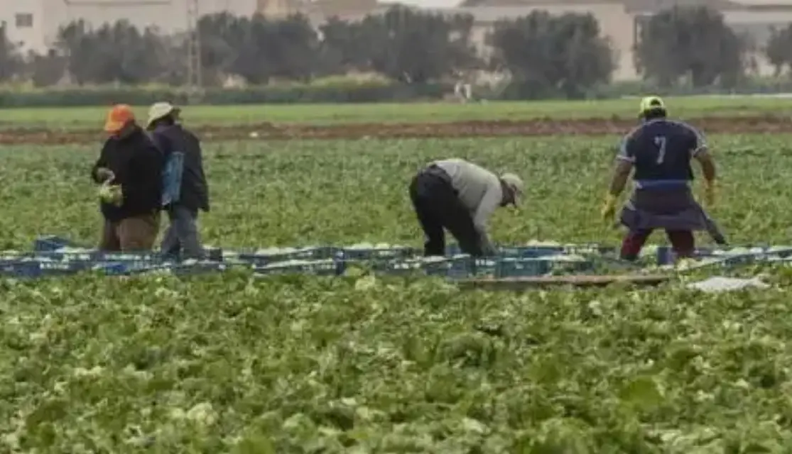 Trabajador agrícola positivo al coronavirus genera alarma en la población de Lorca