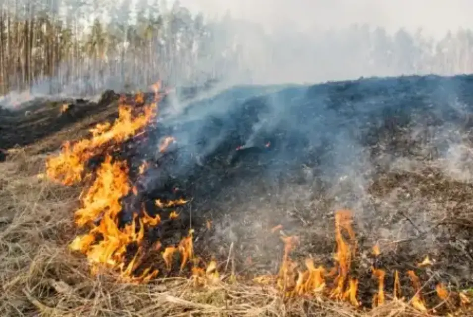 Las llamas siguen ardiendo durante el estado de alarma en la Región