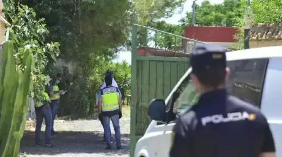 Desmantelaron un cultivo de mil plantas de marihuana en una finca de Cartagena