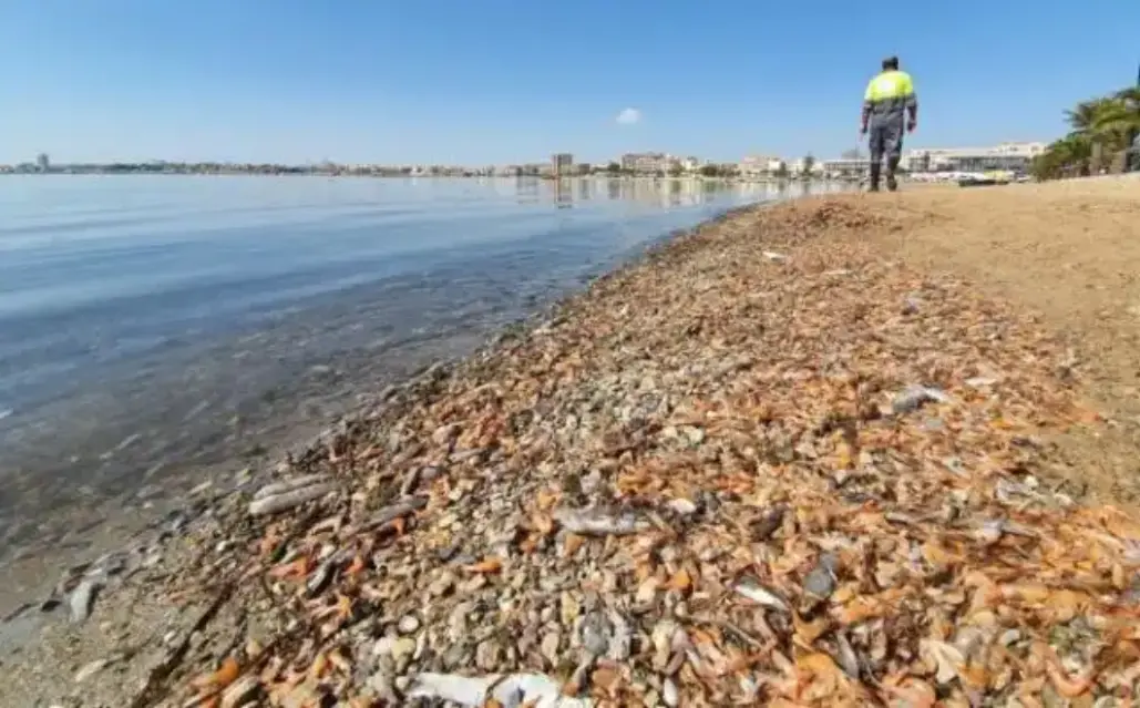 Al identificar y eliminar los vertidos contaminantes el Ministerio intervendrá en la recuperación del Mar Menor