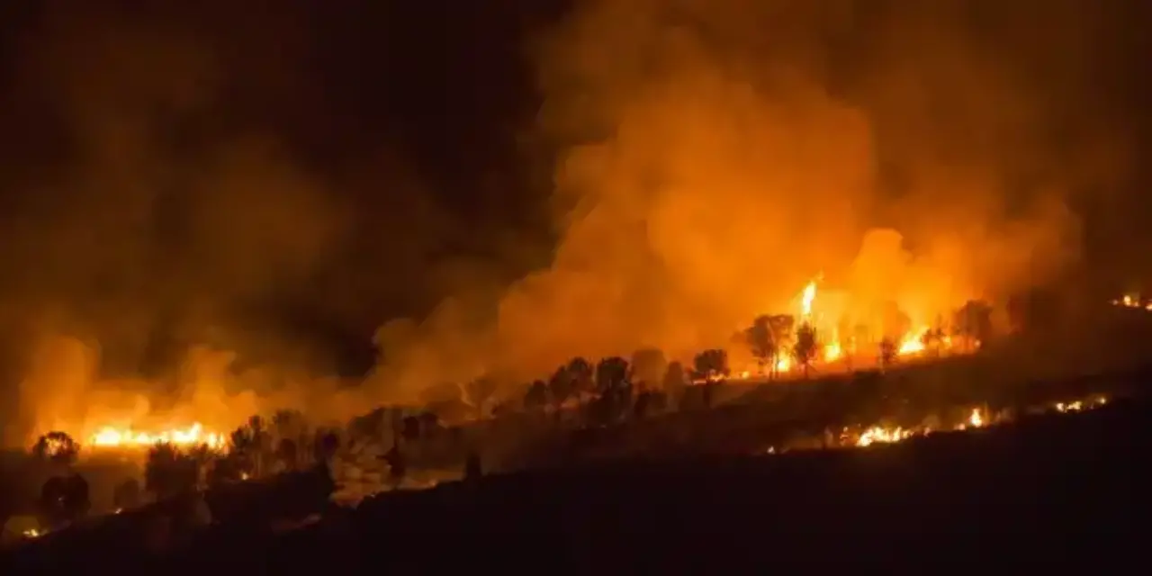 Controlados tres incendios forestales en la Región durante la madrugada de hoy