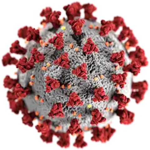 El Coronavirus se extiende por el territorio murciano.