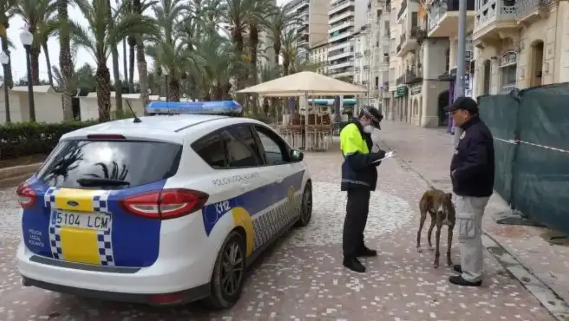 Dueños de mascotas obligados a limpiar las gracias de sus animales.
