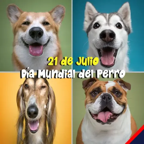 21 de Julio: Día internacional del perro