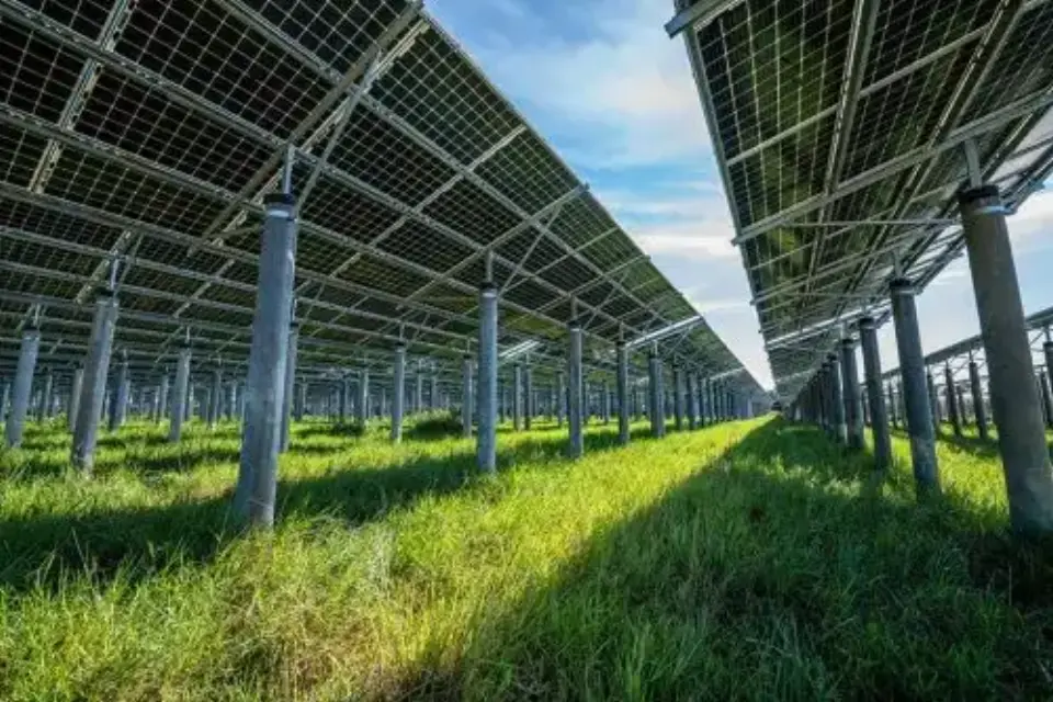La Región de Murcia se impone con la mayor planta fotovoltaica de autoconsumo del mundo