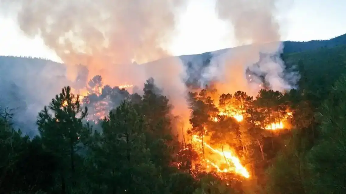¡Alerta! Nivel de riesgo extremo de incendios forestales en toda la Región de Murcia