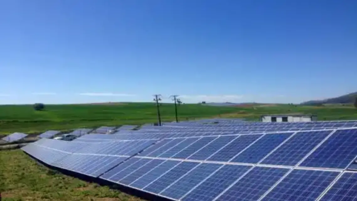 ¿Cómo convertir las plantas fotovoltaicas en ‘reservas integrales de la naturaleza’?