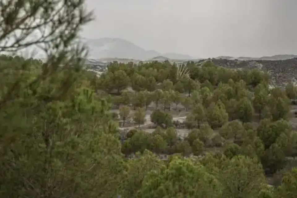 Más de 100.000 euros serán invertidos en tres proyectos de Puerto Lumbreras