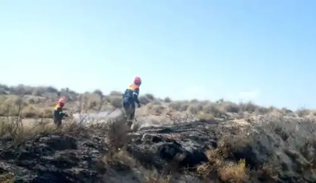 Urge concienciación ciudadana ante el aumento del riesgo de incendios forestales