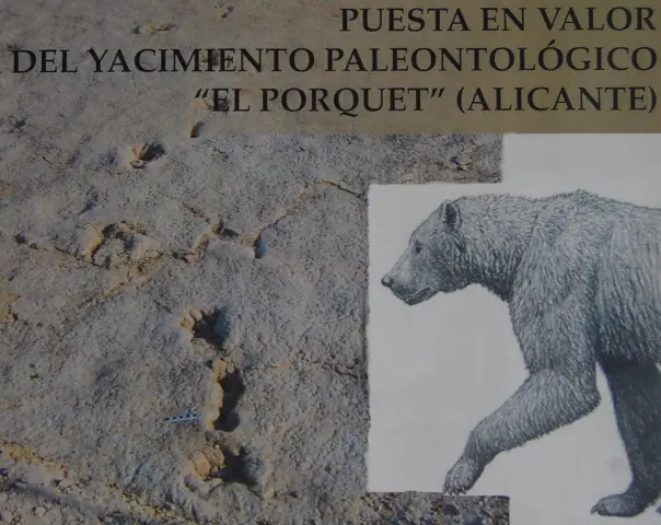 Hallazgos paleontológicos serán ruta museística al aire libre