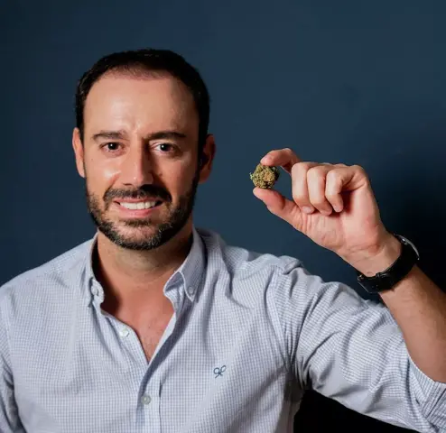 ¿El cannabis es una  industria en España?
