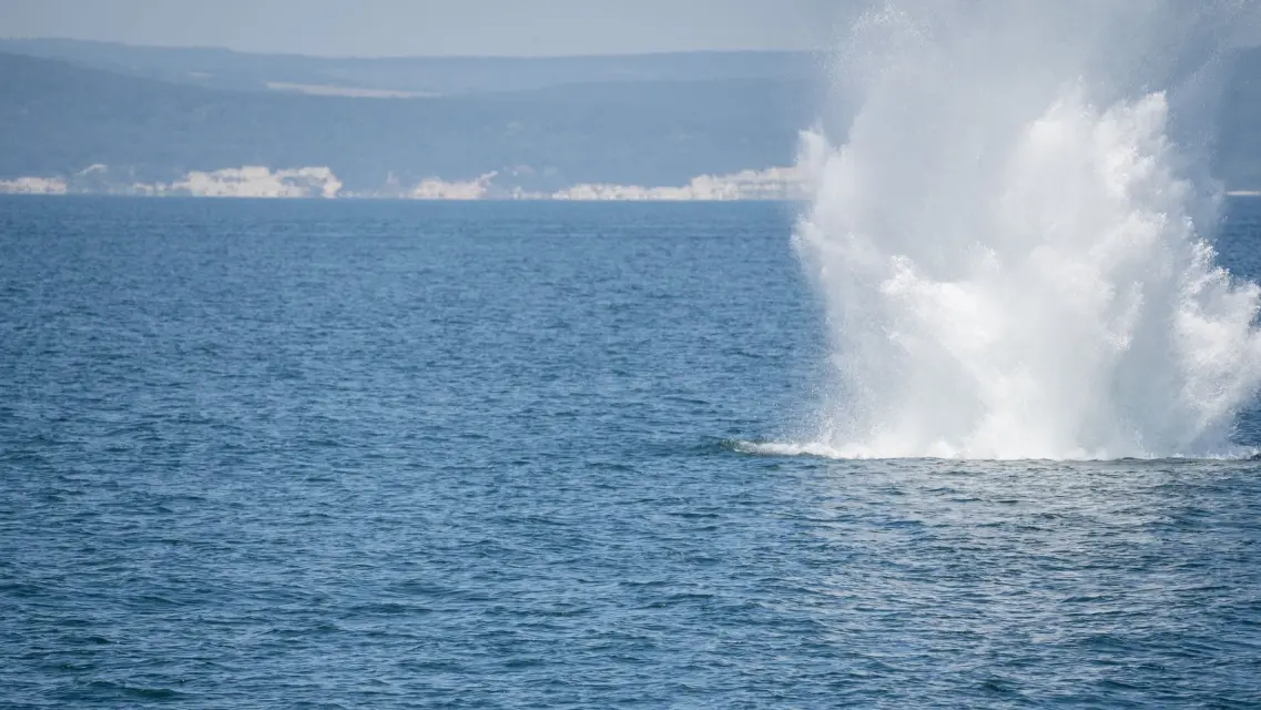 ¡Alerta! Advierten sobre minas explosivas en el mar Negro procedentes de Ucrania
