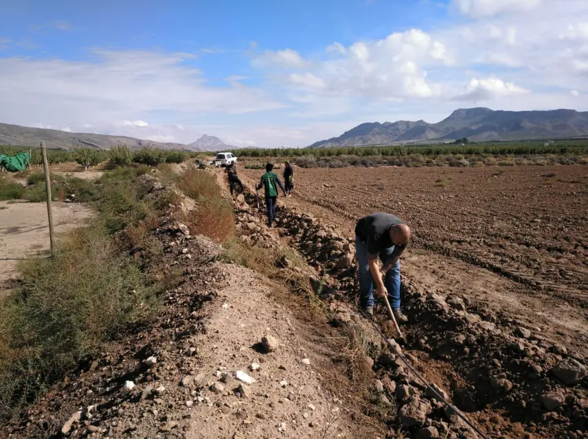 Nuevo seguro agrario beneficiará a más de 5.300 agricultores de la región de Murcia