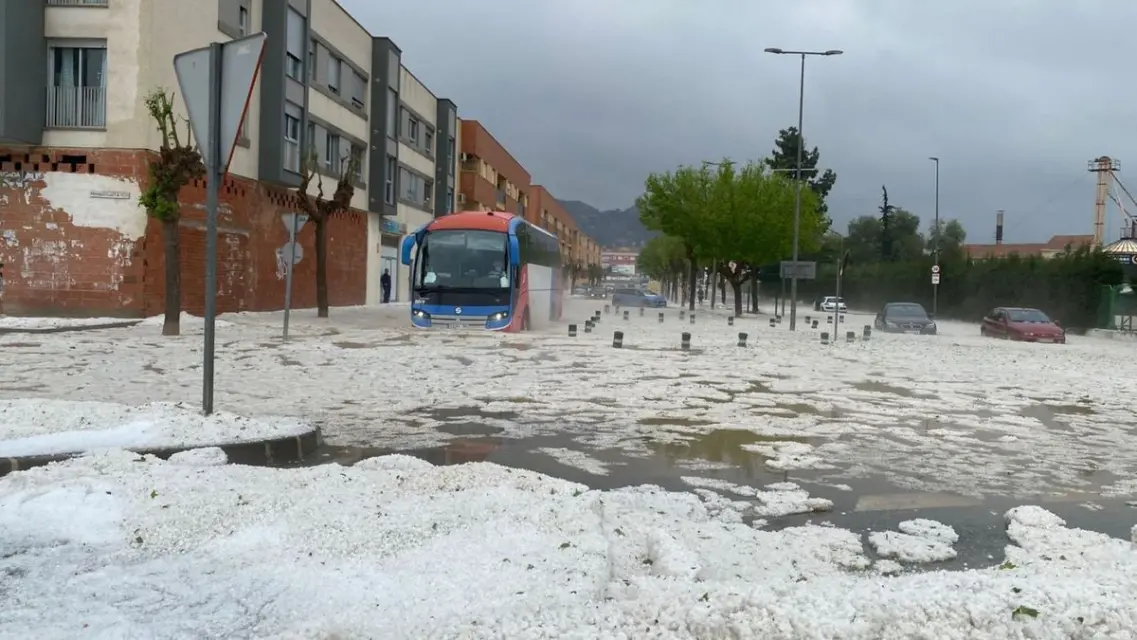 Tornado: lluvia con granizo además pinos y almendros arrasados en Murcia