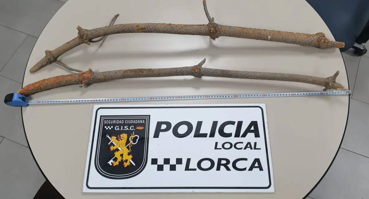 Policía de Lorca detiene a cuatro personas por  tráfico de drogas