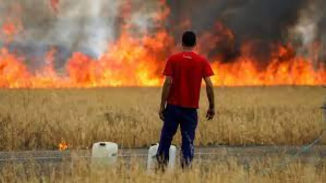 Zaragoza: Seis localidades desalojadas y 14 hectáreas arrasadas por los incendios