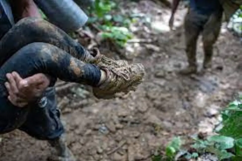 Conoce la cifra de euros que España destina a la selva entre Colombia y Panamá