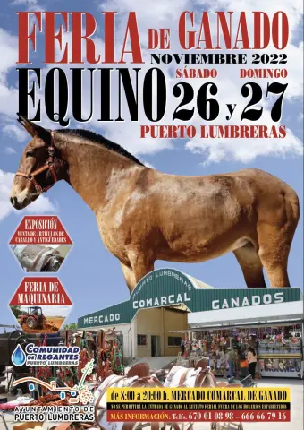 Puerto Lumbreras se prepara para la tradicional Feria de Ganado Equino