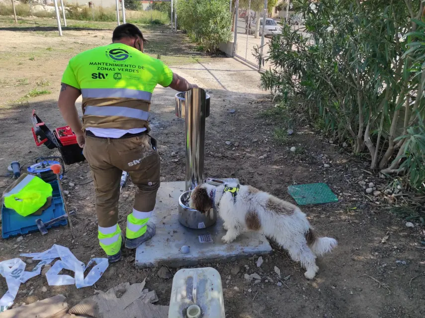 Alicante: Así va el Plan Zonas de Libre Paseo de Mascotas