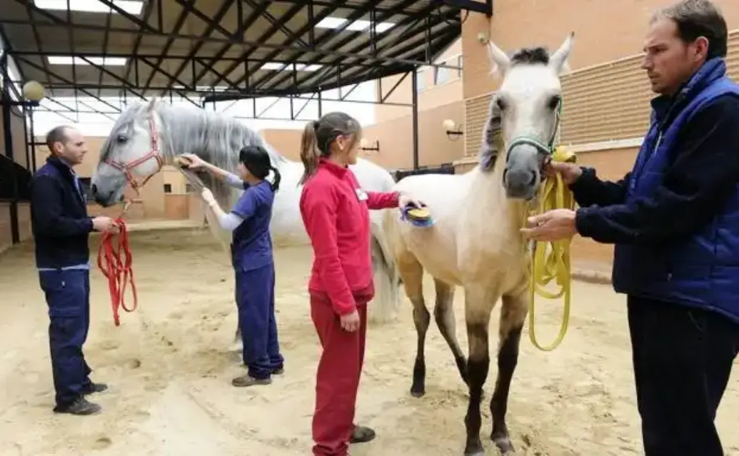 Veterinarios aumentan medidas de seguridad para prevenir llegada de Virus del Nilo a la Región de Murcia
