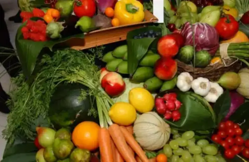Almería es el garante de la dieta saludable de los europeos en invierno