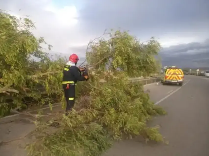 Temporal de viento de este viernes generó numerosas incidencias en Lorca