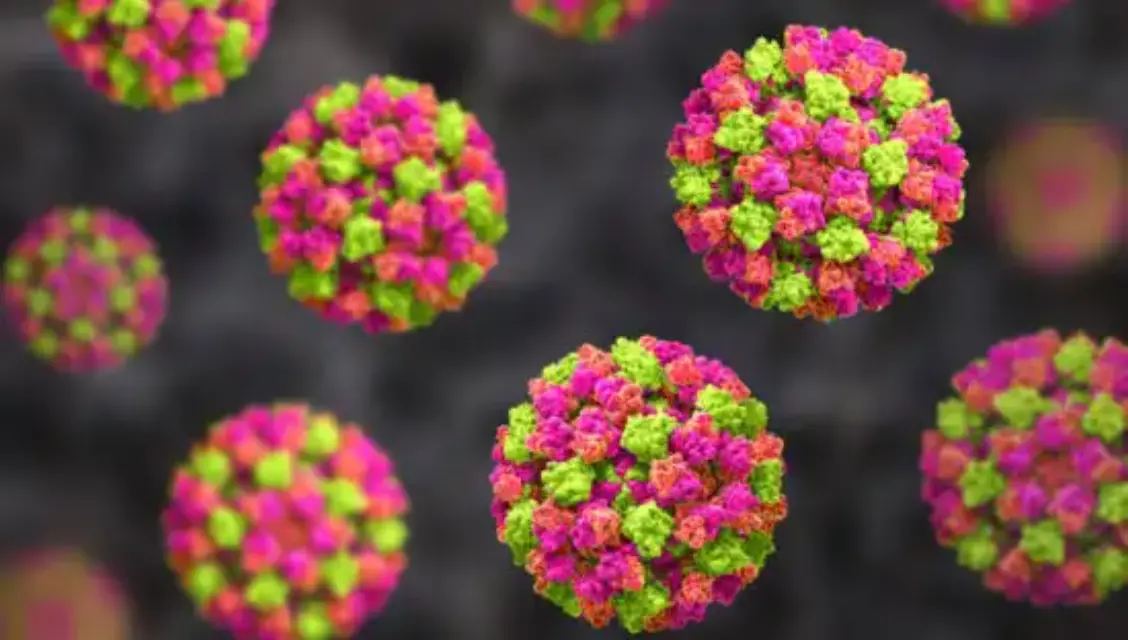 China, en alerta por un nuevo virus, Norovirus