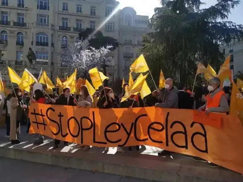 "Libertad" y "la escuela concertada no se calla", grita Más Plurales ante el Senado