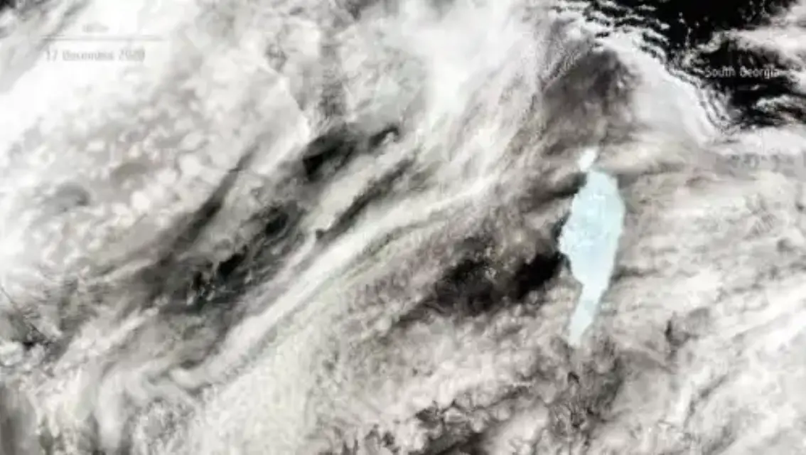 Fragmentos del gigantesco iceberg A-68A amenazan al archipiélago de las islas Georgia del Sur