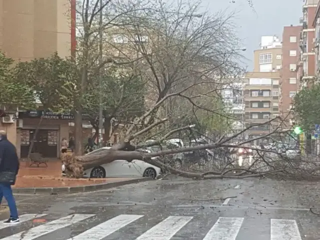 Alerta Naranja por fuertes vientos en la comarca del Altiplano a partir de las 20 horas de hoy y hasta mañana