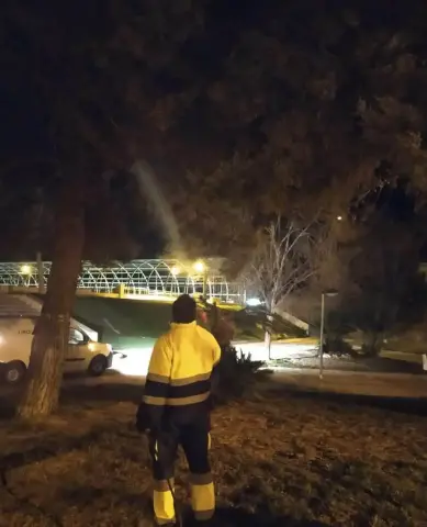 Ayuntamiento de Puerto Lumbreras continúa la campaña de prevención contra la procesionaria y el picudo rojo