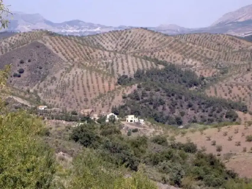 En Lorca reparan los caminos afectados por las lluvias de 2019 en las pedanías de La Torrecilla y Jarales