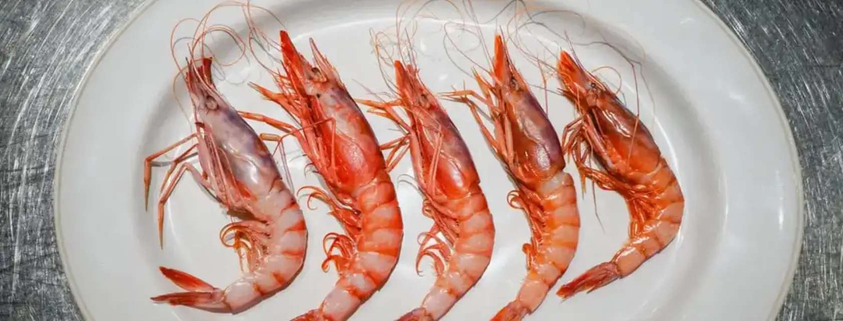 Reaparece la Gamba Roja en la costa aguileña del Mar Mediterráneo, Buenas noticias para los pescadores
