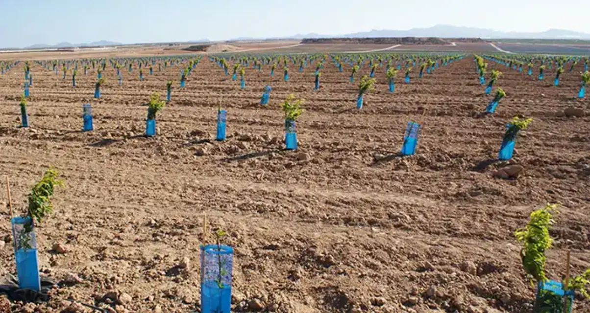 Agricultores exigen a la Comunidad de Regantes de Puerto Lumbreras revisión de los precios del agua