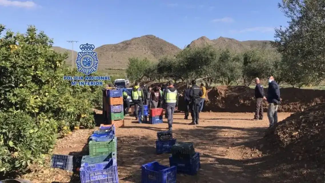 39 personas fueron detenidas por explotación de trabajadores en el sector agrícola murciano