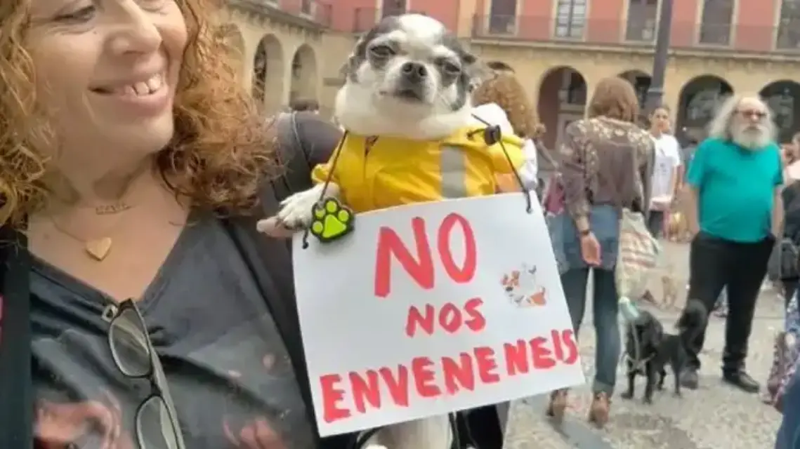 En marcha página web para atrapar a quienes envenenen a perros y gatos en la Región