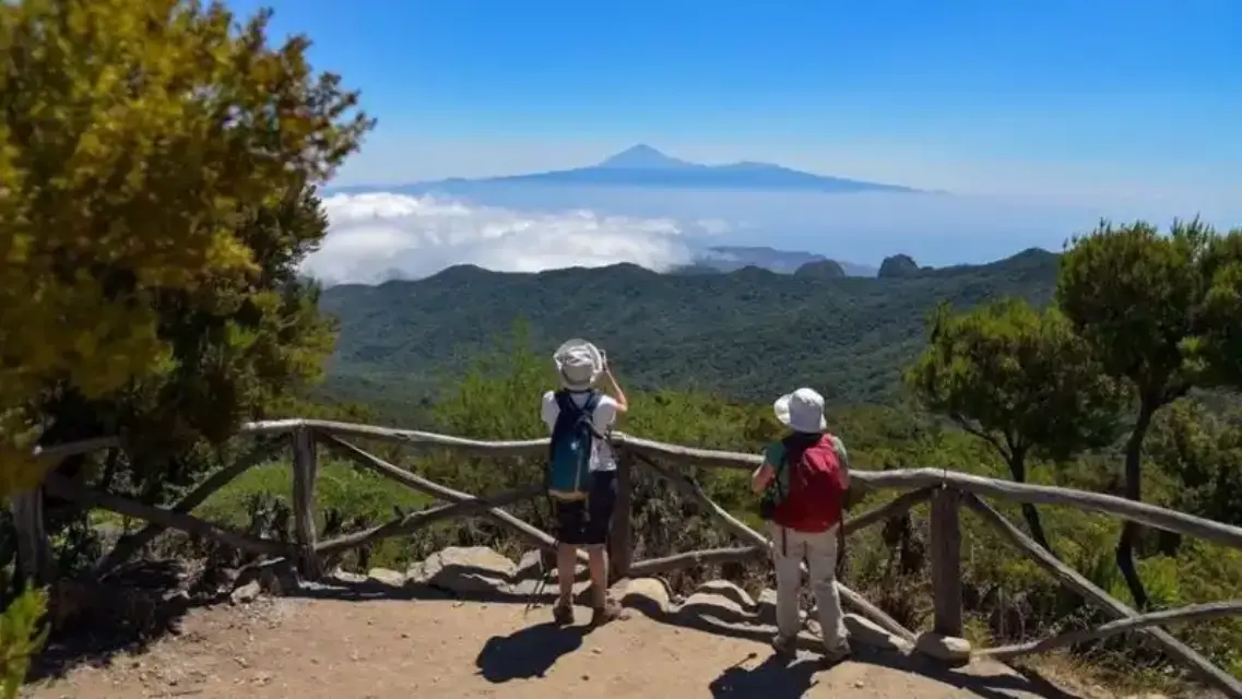 Holanda, Dinamarca y Alemania eliminan la cuarentena y el test para los viajeros que regresen de las Canarias