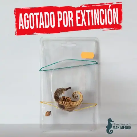 Abracemos al Mar Menor busca recoger 500.000 firmas para acabar con el “ecocidio”