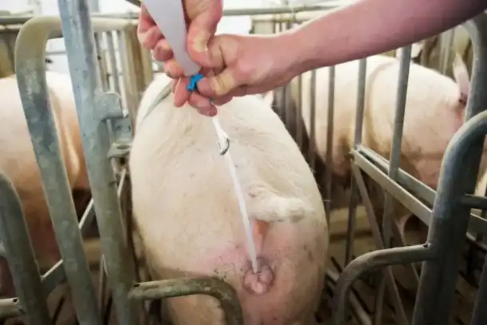 Centro de Inseminación Artificial de Adespolorca recibió subvención de 120 mil euros
