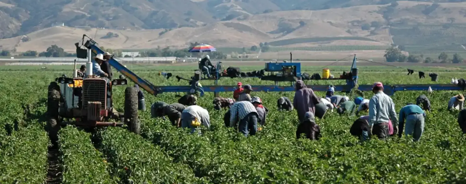 Para este cuatro de julio. Agricultores piden cambios en la CR de Puerto Lumbreras