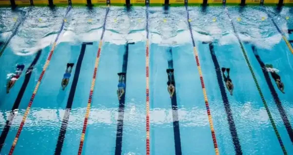 Alicante servirá de sede para el 34º Campeonato de España de Natación con Aletas