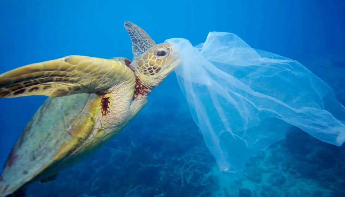 III Edición Reto ¿Sin-Plastic-Zamos? en Andalucía, Gibraltar y Murcia