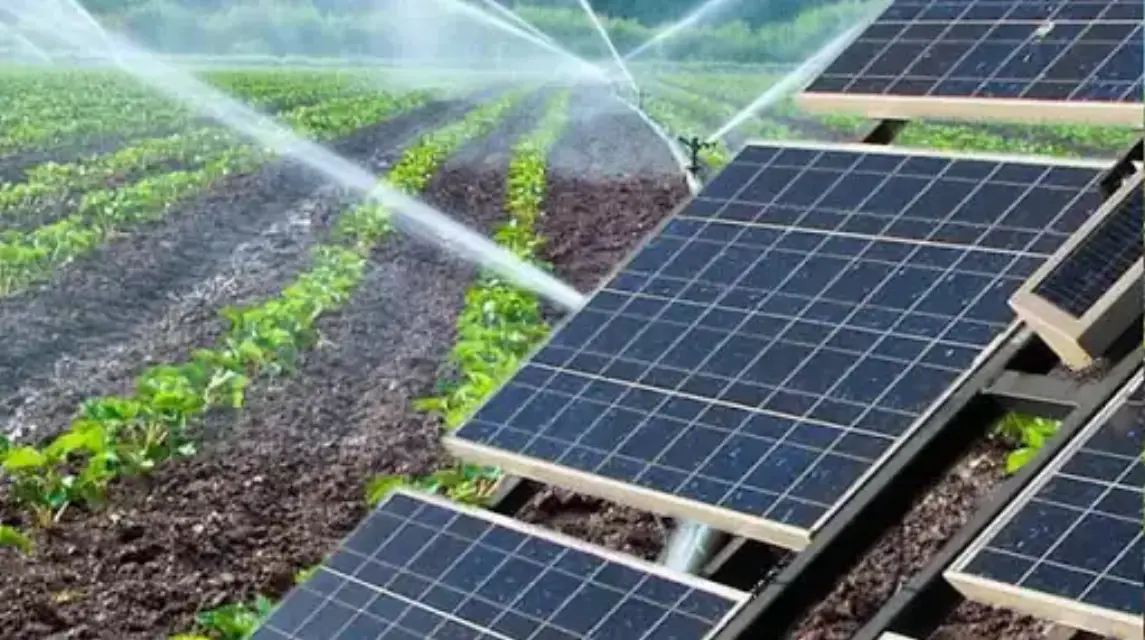 El coste del agua para riego podría abaratarse hasta un 40% con el uso de la energía solar