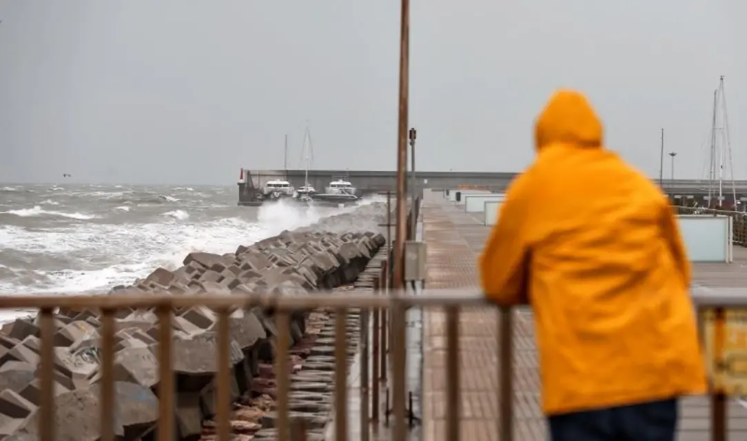 Emergencia: 42 incidencias provocadas por el viento en la Región
